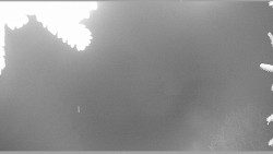 Parkoviště běžecký areál