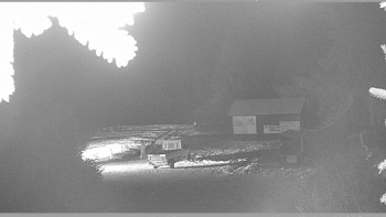 Snímek 21.11.2025 v 23:45