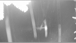 Parkoviště běžecký areál