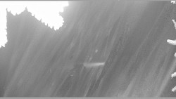 Parkoviště běžecký areál