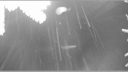 Parkoviště běžecký areál