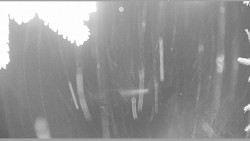 Parkoviště běžecký areál