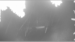 Parkoviště běžecký areál