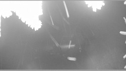 Parkoviště běžecký areál