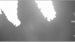 Parkoviště běžecký areál