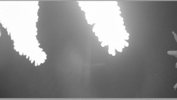 Parkoviště běžecký areál