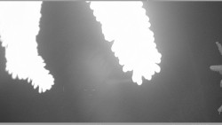 Parkoviště běžecký areál