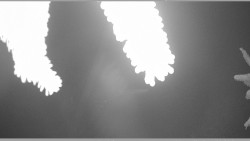 Parkoviště běžecký areál