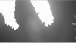 Parkoviště běžecký areál