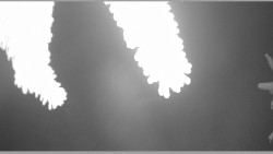 Parkoviště běžecký areál