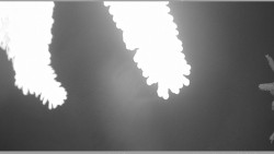 Parkoviště běžecký areál