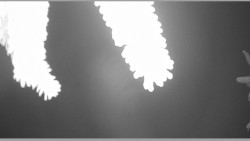 Parkoviště běžecký areál