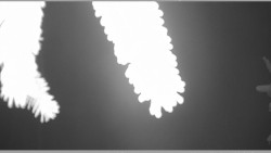 Parkoviště běžecký areál