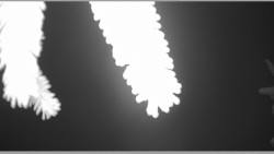 Parkoviště běžecký areál