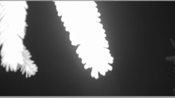 Parkoviště běžecký areál