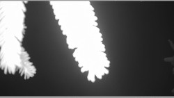 Parkoviště běžecký areál