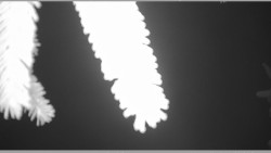 Parkoviště běžecký areál