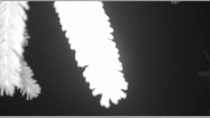 Horský spolek Adolfov - Parkoviště běžecký areál - 25.11.2025 v 00:45 Horský spolek Adolfov - Parkoviště běžecký areál - 25.11.2025 v 00:45