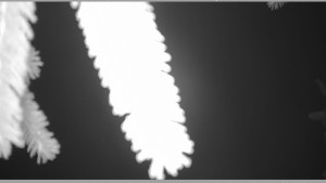 Horský spolek Adolfov - Parkoviště běžecký areál - 25.11.2025 v 01:00 Horský spolek Adolfov - Parkoviště běžecký areál - 25.11.2025 v 01:00