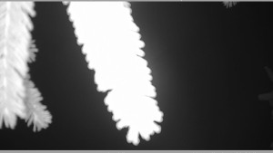 Horský spolek Adolfov - Parkoviště běžecký areál - 25.11.2025 v 01:15 Horský spolek Adolfov - Parkoviště běžecký areál - 25.11.2025 v 01:15