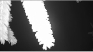 Horský spolek Adolfov - Parkoviště běžecký areál - 25.11.2025 v 01:30 Horský spolek Adolfov - Parkoviště běžecký areál - 25.11.2025 v 01:30