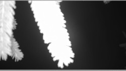 Parkoviště běžecký areál