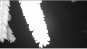 Horský spolek Adolfov - Parkoviště běžecký areál - 25.11.2025 v 02:15 Horský spolek Adolfov - Parkoviště běžecký areál - 25.11.2025 v 02:15