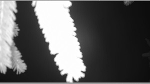 Horský spolek Adolfov - Parkoviště běžecký areál - 25.11.2025 v 02:45 Horský spolek Adolfov - Parkoviště běžecký areál - 25.11.2025 v 02:45