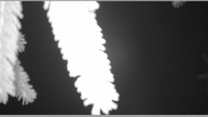 Horský spolek Adolfov - Parkoviště běžecký areál - 25.11.2025 v 03:00 Horský spolek Adolfov - Parkoviště běžecký areál - 25.11.2025 v 03:00