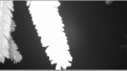 Parkoviště běžecký areál