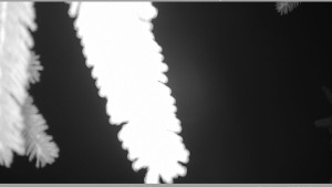 Horský spolek Adolfov - Parkoviště běžecký areál - 25.11.2025 v 03:30 Horský spolek Adolfov - Parkoviště běžecký areál - 25.11.2025 v 03:30