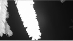 Parkoviště běžecký areál