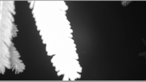 Horský spolek Adolfov - Parkoviště běžecký areál - 25.11.2025 v 04:30 Horský spolek Adolfov - Parkoviště běžecký areál - 25.11.2025 v 04:30