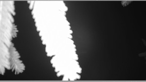 Horský spolek Adolfov - Parkoviště běžecký areál - 25.11.2025 v 04:45 Horský spolek Adolfov - Parkoviště běžecký areál - 25.11.2025 v 04:45