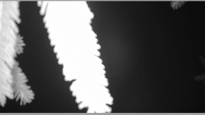 Horský spolek Adolfov - Parkoviště běžecký areál - 25.11.2025 v 05:30 Horský spolek Adolfov - Parkoviště běžecký areál - 25.11.2025 v 05:30