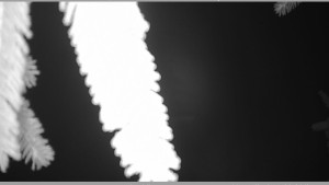 Horský spolek Adolfov - Parkoviště běžecký areál - 25.11.2025 v 05:45 Horský spolek Adolfov - Parkoviště běžecký areál - 25.11.2025 v 05:45