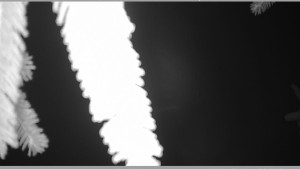 Horský spolek Adolfov - Parkoviště běžecký areál - 25.11.2025 v 06:45 Horský spolek Adolfov - Parkoviště běžecký areál - 25.11.2025 v 06:45