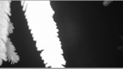 Parkoviště běžecký areál