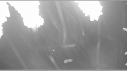 Parkoviště běžecký areál