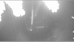 Parkoviště běžecký areál