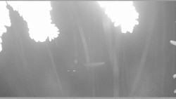 Parkoviště běžecký areál