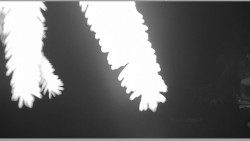 Parkoviště běžecký areál