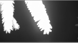 Parkoviště běžecký areál