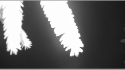 Parkoviště běžecký areál