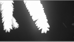 Parkoviště běžecký areál