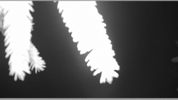 Parkoviště běžecký areál