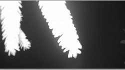 Parkoviště běžecký areál