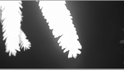 Parkoviště běžecký areál