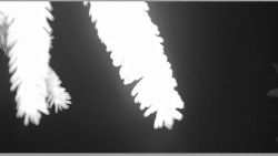 Parkoviště běžecký areál