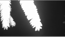 Parkoviště běžecký areál